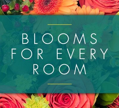 Blooms for Every Room
