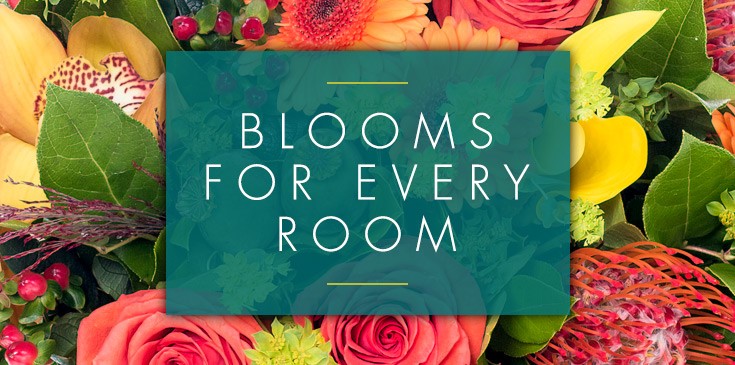 Blooms for Every Room